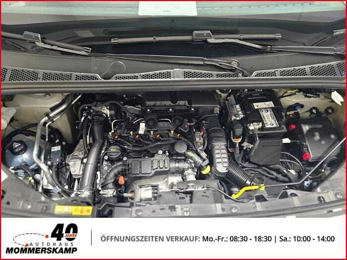 Opel Combo Cargo Basis XL 1.5 D+PDC+Sitzhzg+Lenkradhzg+Klima+CarPlay+DAB+Tempomat+Lic