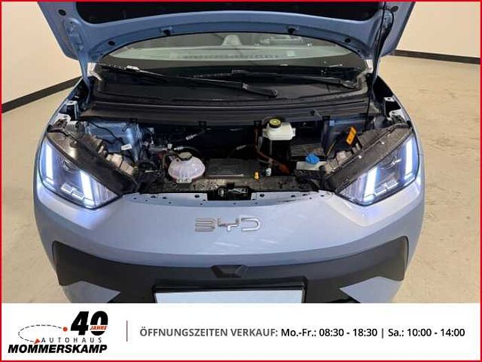 BYD Dolphin Surf 43 kW Boost Rückfahrkam. +Lederlenkrad+Android Auto+CarPlay+Einparkh