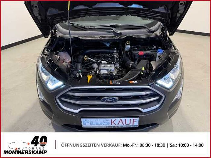 Ford EcoSport Cool & Connect 1.0 EcoBoost+Allwetter+Navi+PDC+Klima+Winterpaket