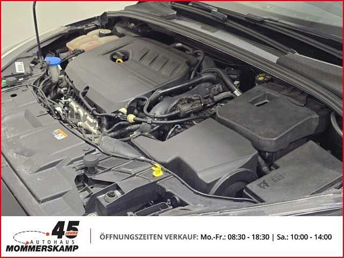 Ford Focus Turnier ST-Line Allwetter+LenkradHZG+Einparkhilfe v&h+SitzHZG+Sportsitze