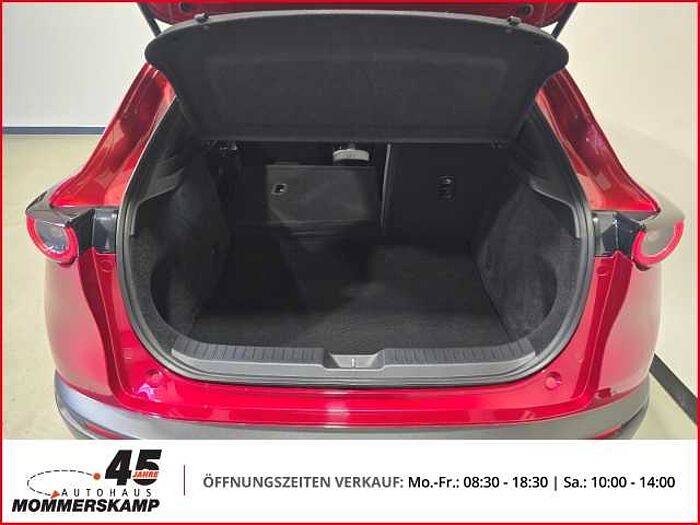 Mazda CX-30 2WD+HUD+Allwetter+AHK-abnehmbar+Lederlenkrad+Einparkhilfe