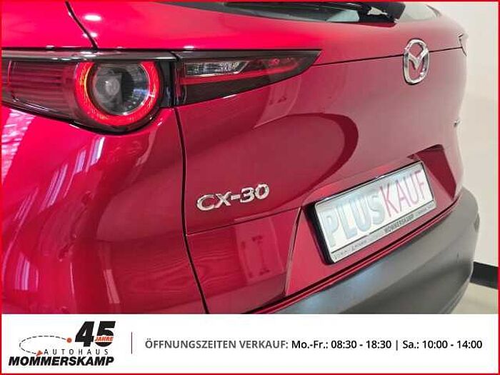 Mazda CX-30 2WD+HUD+Allwetter+AHK-abnehmbar+Lederlenkrad+Einparkhilfe