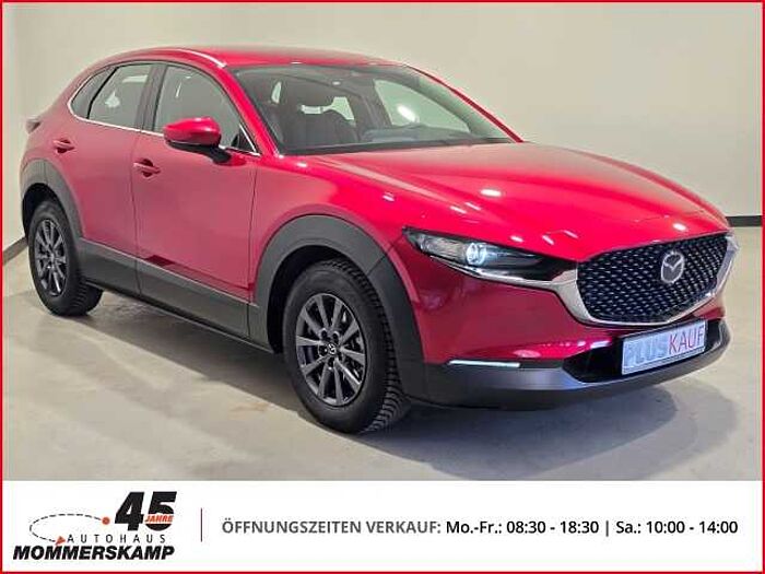 Mazda CX-30 2WD+HUD+Allwetter+AHK-abnehmbar+Lederlenkrad+Einparkhilfe