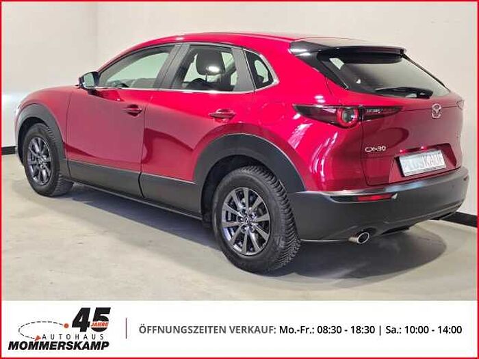 Mazda CX-30 2WD+HUD+Allwetter+AHK-abnehmbar+Lederlenkrad+Einparkhilfe