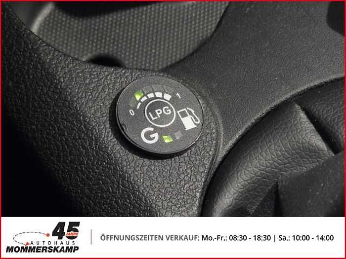Dacia Sandero II Stepway Celebration+LPG+Allwetter+Klima+Navi+Kamera+Tempomat+PDC+