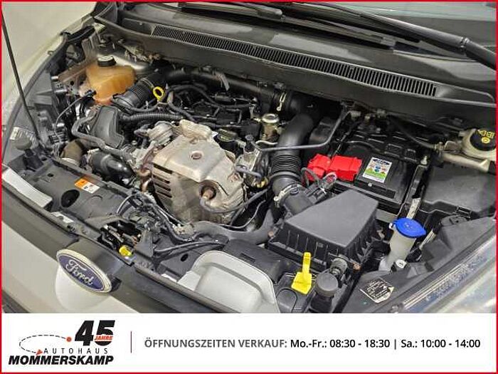 Ford B-Max Titanium+Allwetter+Klima+PDC+Sitzhzg+Frontscheibenhzg+Tempomat+
