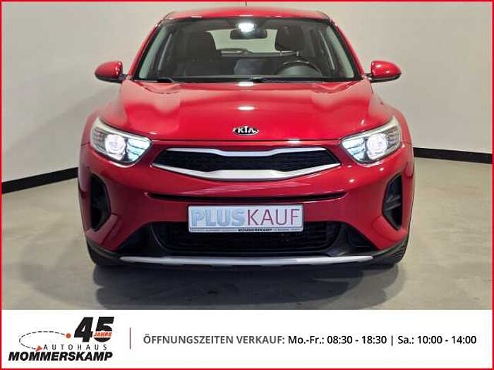 Kia Stonic Edition 7 LenkradHZG+8-fach bereift+SitzHZG+Android Auto&Apple Carplay