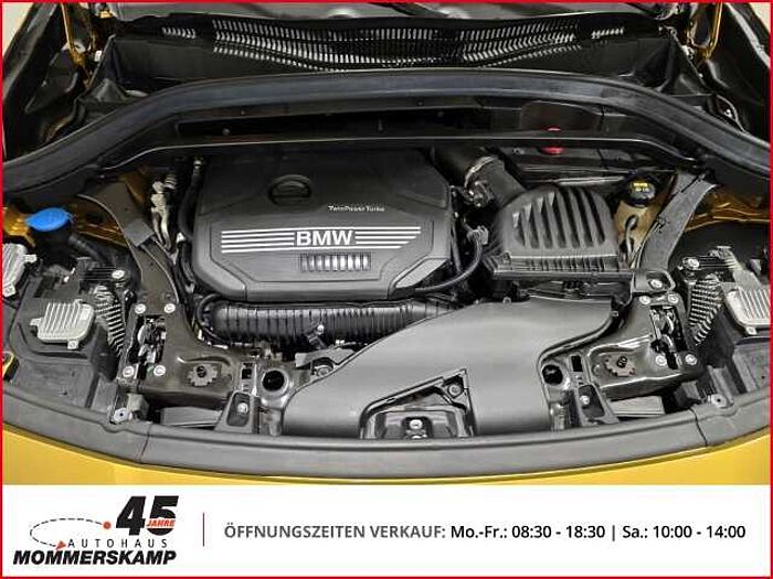 BMW X2 sDrive 20 i Advantage+Automatik+Allwetter+PDC+Navi+Klima+Lenkradhzg+Parkass.