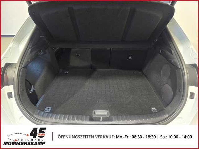 Kia XCee'd Black Xdition+Automatik+Leder+Kamera+PDC+Tempomat+digi.Cockpit XCeed