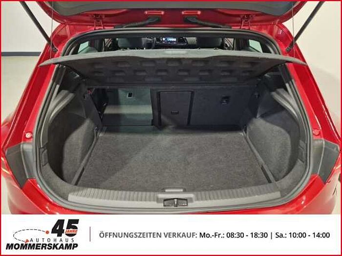 SEAT Leon FR 2.0 TSI+Automatik+Leder+Allwetter+AHK+el.PANO+Tempomat+Navi+PDC+Sitzhzg